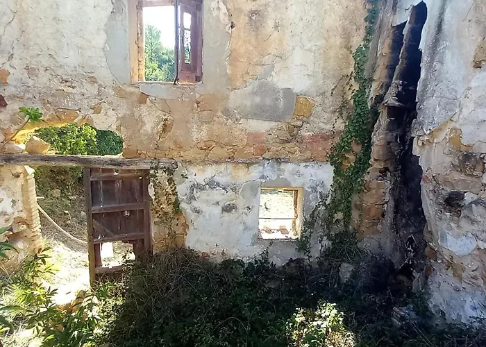 Ca L'oreneta Daire El Pla de Manlleu