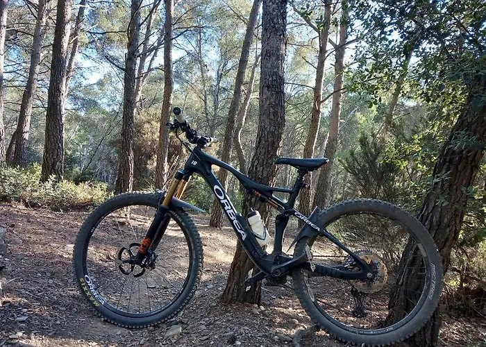 Daire Ca L'oreneta El Pla de Manlleu
